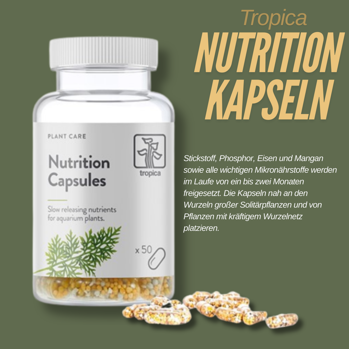 Tropica Nutrition Capsules 50 Stück– Nährstoffe für starke Aquarienpflanzen